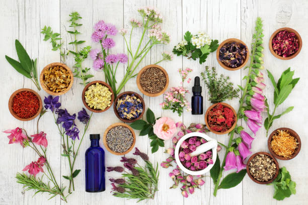 Holistic-Health-for-Personal