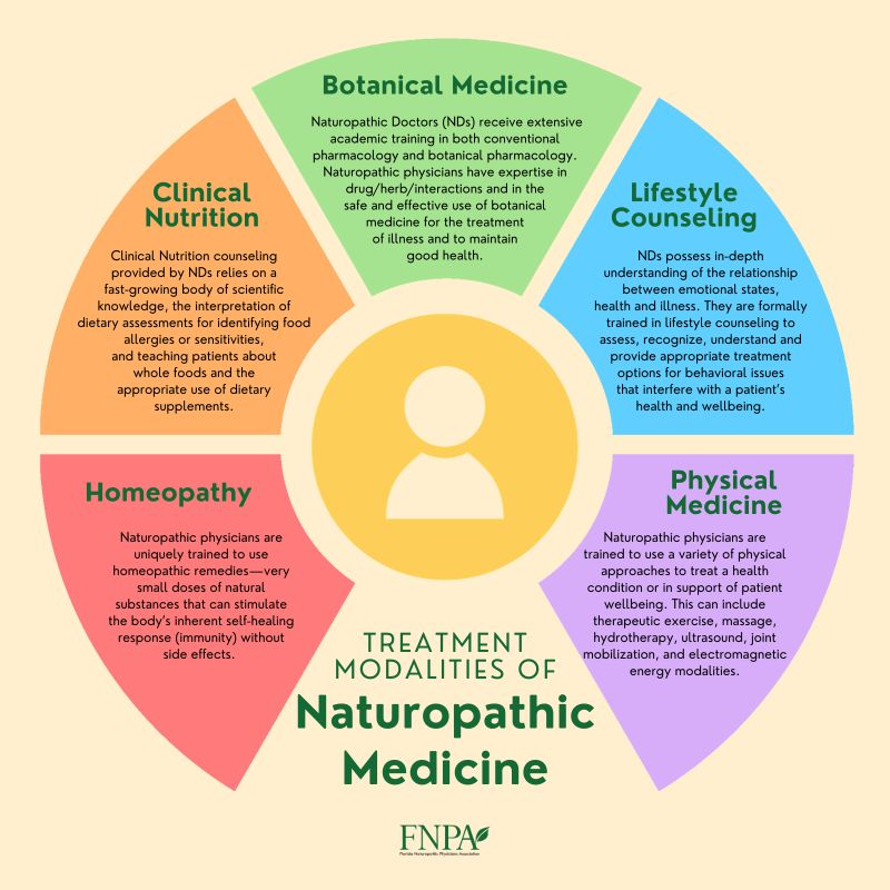 Naturopathic-vs.-Holistic-Doctor-222