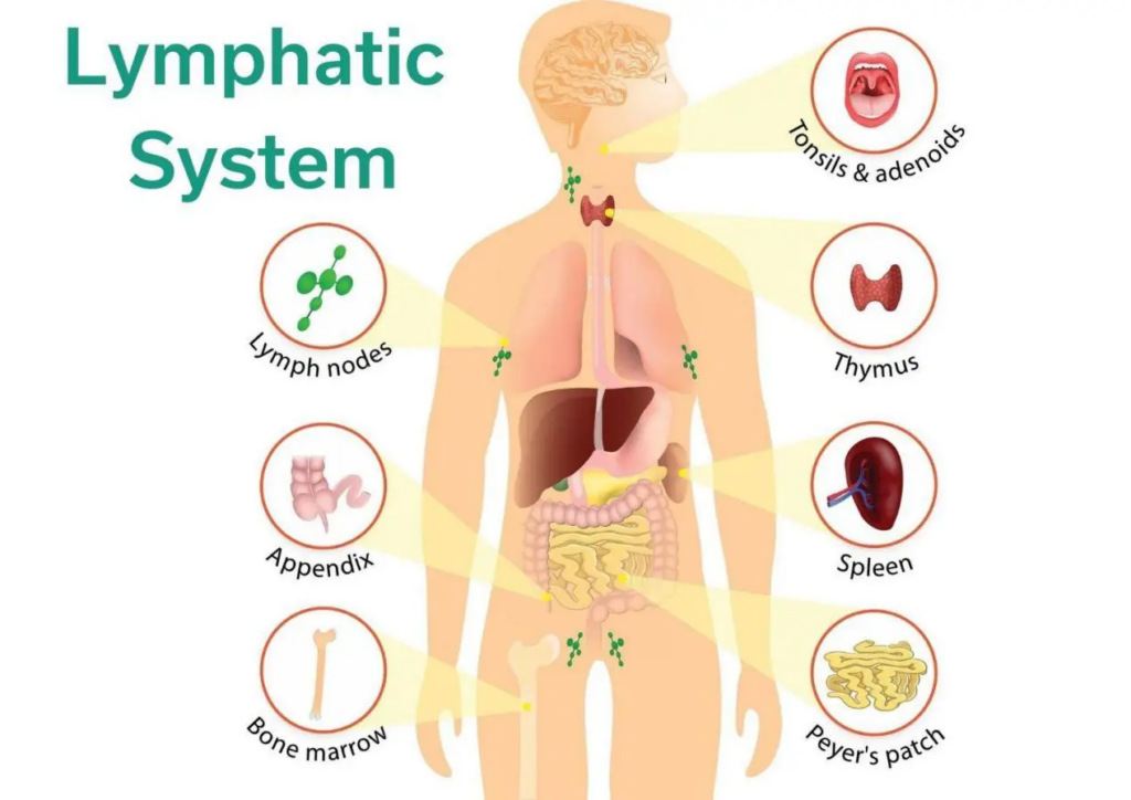 Integrating-Acupuncture