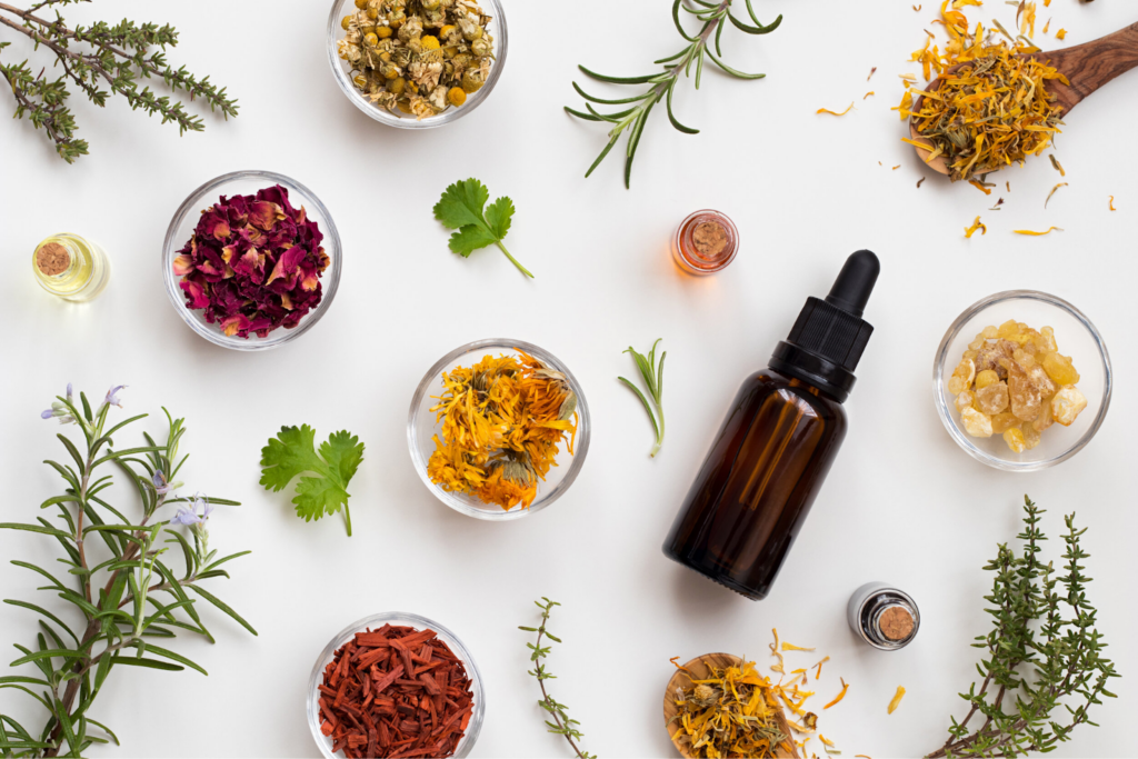 Naturopathy-Principles