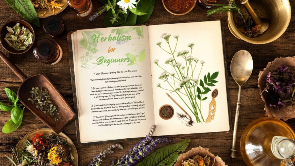 Role-of-Herbalists