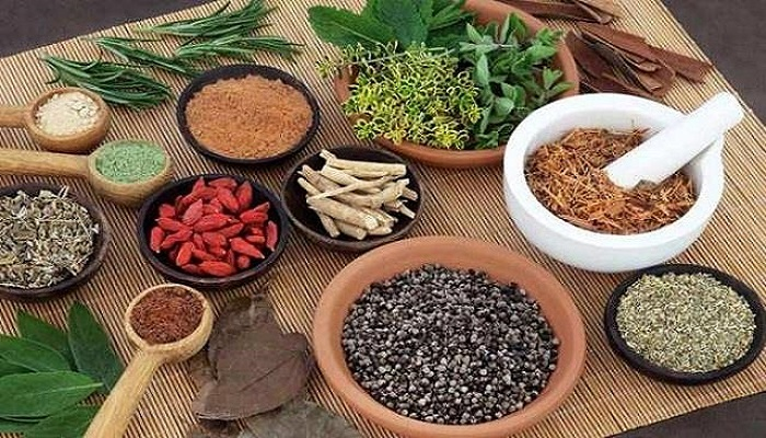 About-Ayurveda