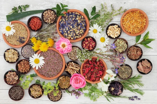 Aspects-of-Naturopathy